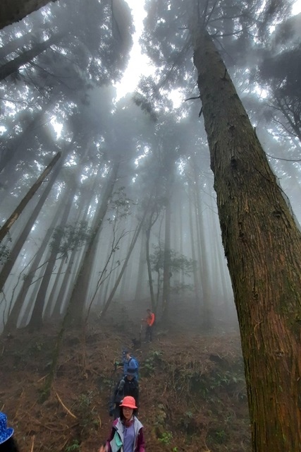 大混山縱走李棟山_220320_10.jpg