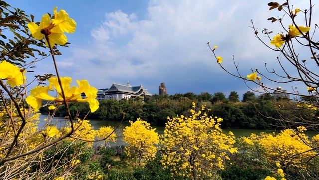 秀才步道_230313_24.jpg