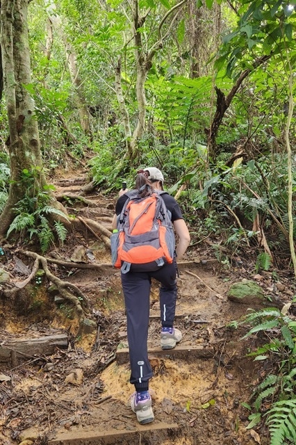 【桃園】挑戰溪洲山：重拾登山的信心與勇氣