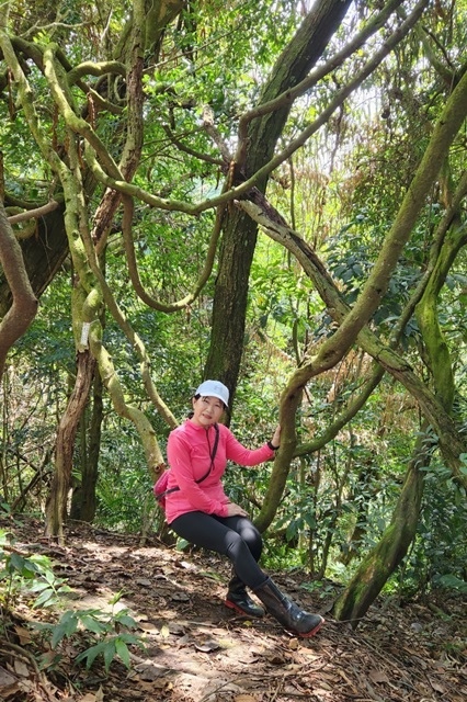 【桃園】挑戰溪洲山：重拾登山的信心與勇氣