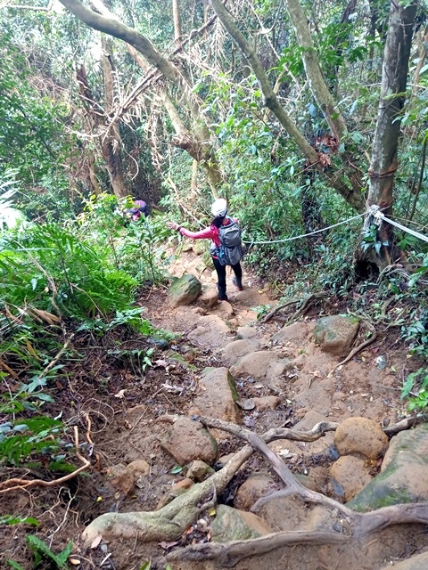 【桃園】挑戰溪洲山：重拾登山的信心與勇氣