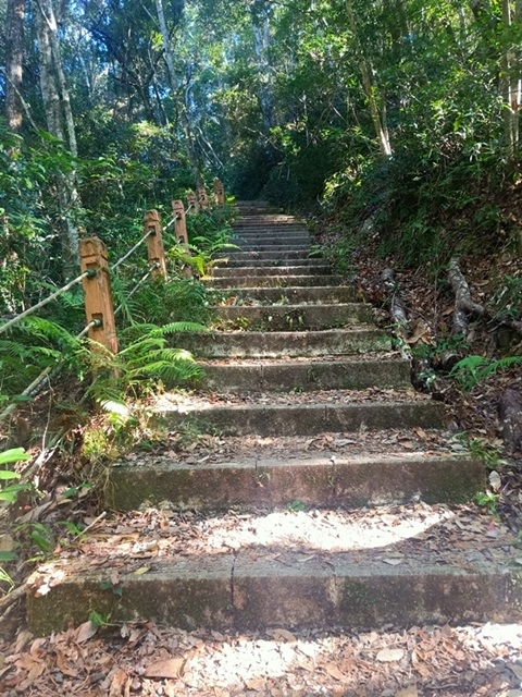 【新竹】徒步一日探索隱秘在軍鑑岩旁的芝生毛台山