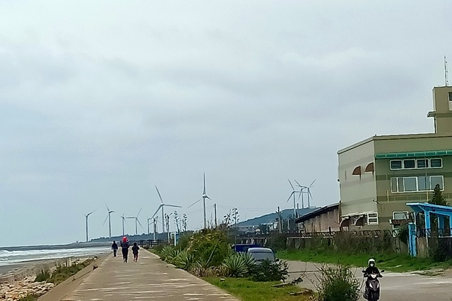 【苗栗】白沙屯媽祖廟健走探索：海堤之旅至新埔木造火車站