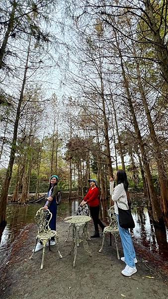 【花蓮】縱情花東山水，消遙在台泥DAKA園區、鈺展落羽松森林