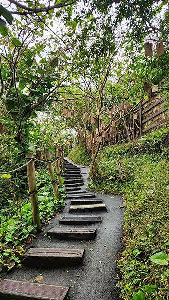 【花蓮】縱情花東山水，消遙在台泥DAKA園區、鈺展落羽松森林