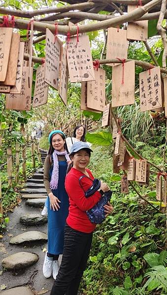 【花蓮】縱情花東山水，消遙在台泥DAKA園區、鈺展落羽松森林