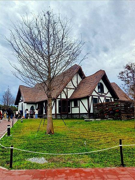 【花蓮】縱情花東山水，消遙在台泥DAKA園區、鈺展落羽松森林