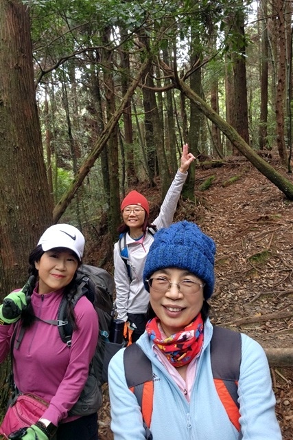 【新竹五峰】觀霧「真快樂」旅程；攀登榛山、瞭望聖稜。