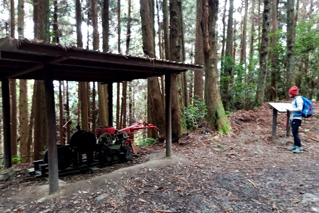 【新竹五峰】觀霧「真快樂」旅程；攀登榛山、瞭望聖稜。