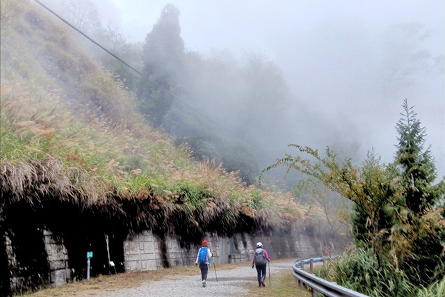 【新竹五峰】觀霧「真快樂」旅程；攀登榛山、瞭望聖稜。