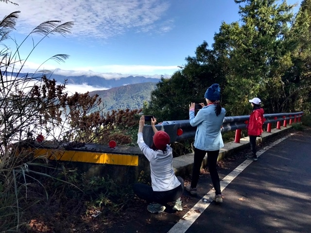 【新竹五峰】深入觀霧：檜木步道與樂山林道完結篇