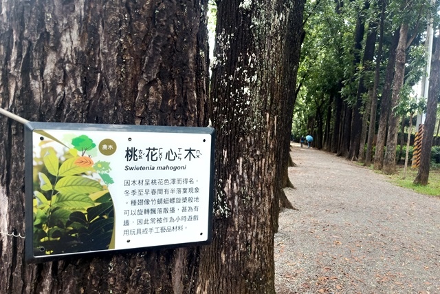 【高雄美濃】探訪新威森林公園與美濃水圳漫旅藝術節之旅