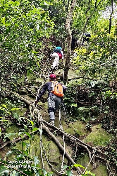 【桃園｜大溪】挑戰不容小覷的白金縱走：拉繩、峭壁與過貓的五小