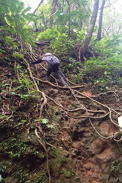 【蘭嶼 Day 3｜大天池探險記】迷航高山之海的挑戰與驚喜