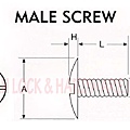 TRUSS COMBO HEAD POST SCREW-MALE-ironman.jpg