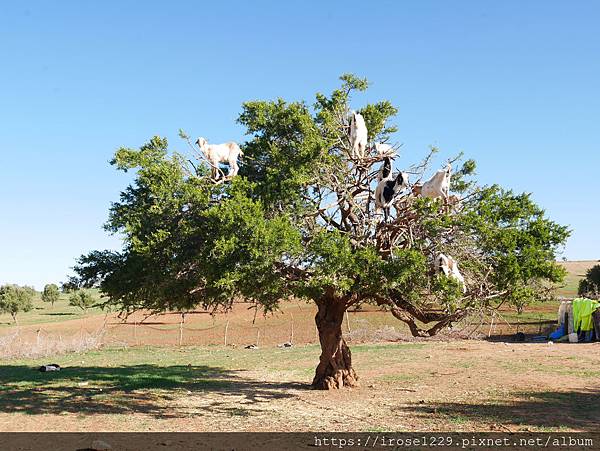 P1100725.JPG P1100725.JPG