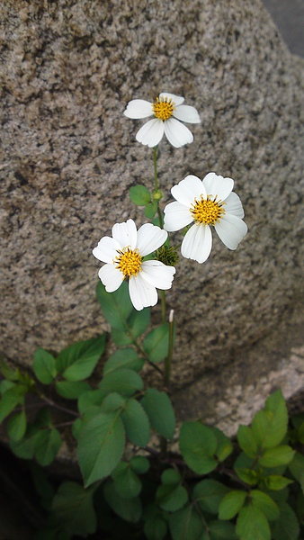 20100501514.JPG