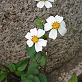 20100501514.JPG