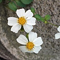 20100501515.JPG