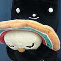 20100519595.JPG