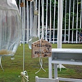 20100829529.JPG