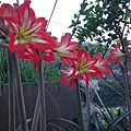 20110423902.JPG