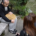 京都時代祭