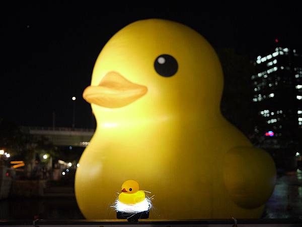 大阪中之島DUCK