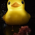 大阪中之島DUCK