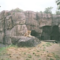 天王寺動物園