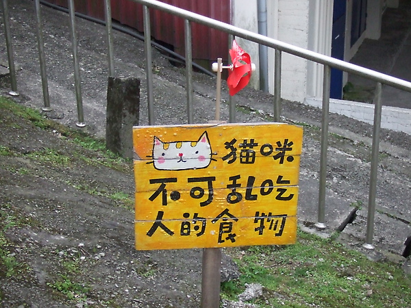 20100327金瓜石爬山猴狪喵喵 158.JPG