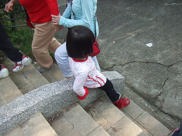 20100410沒有草莓的內湖草莓遊 054.JPG