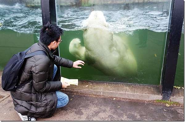 動物園也有世界排名 第一名德國柏林 Zoo Berlin 背包ken的旅遊貧道 痞客邦