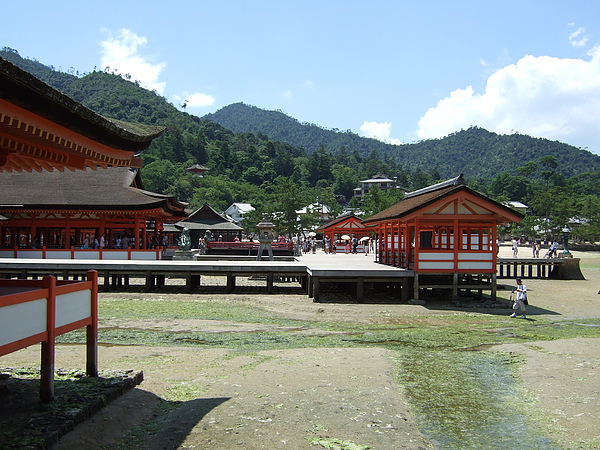 Day324嚴島神社.JPG