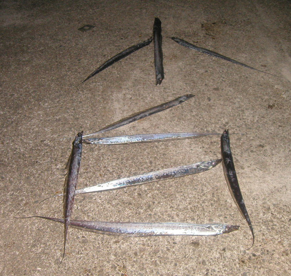 pi.jpg