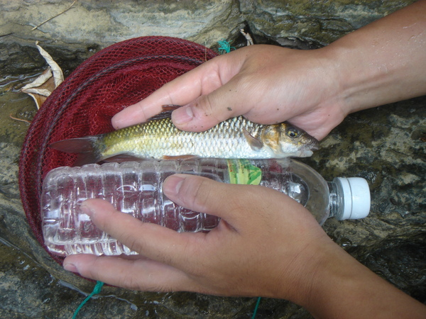 DSC08090.JPG