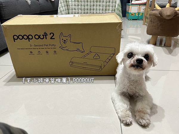 ｛毛小孩便盆推薦｝POOPOUT評價_不沾手好方便_無異味好