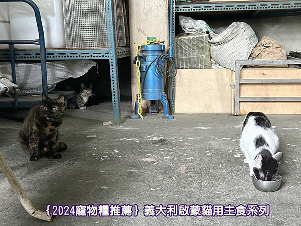 ｛2024寵物糧推薦｝品果國際_低敏配方寵物飼料開箱_義大利