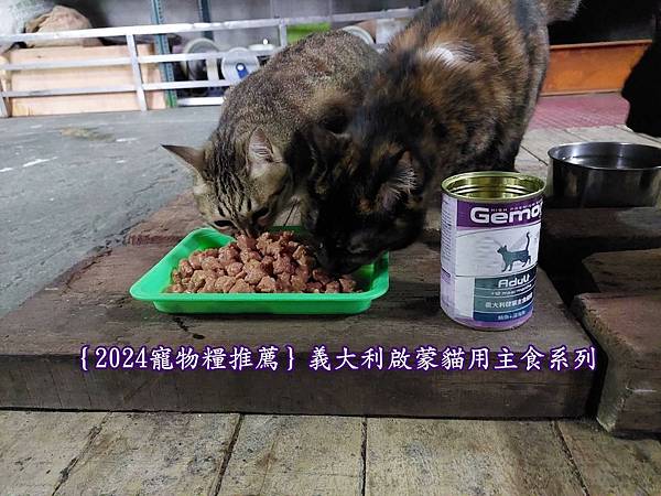 ｛2024寵物糧推薦｝品果國際_低敏配方寵物飼料開箱_義大利