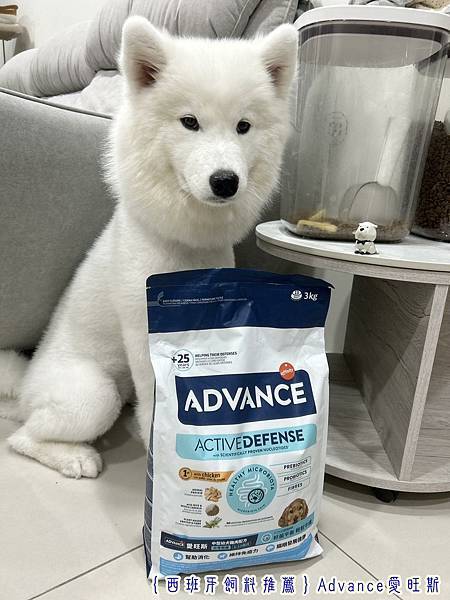 ｛西班牙飼料推薦｝Advance愛旺斯_挑嘴薩摩耶都不挑了