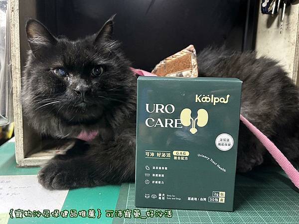 ｛寵物泌尿保健品推薦｝可沛寵藥_好泌活_保養泌尿道好方便