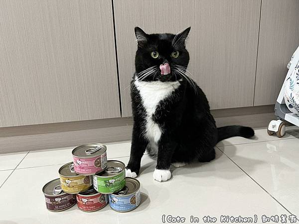 ｛Cats in the Kitchen｝凱特美廚_美味的貓