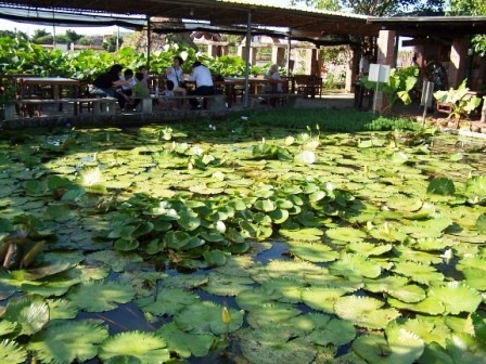 桃園連花季-林家古厝08.JPG