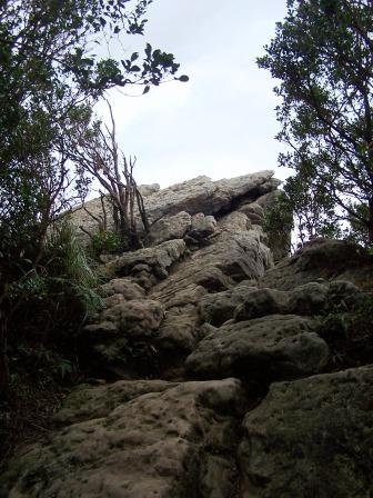 新山登山步道05.JPG