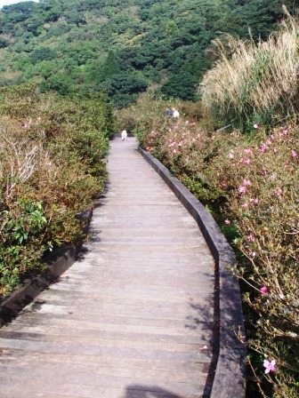 陽明山大屯山公園10.JPG