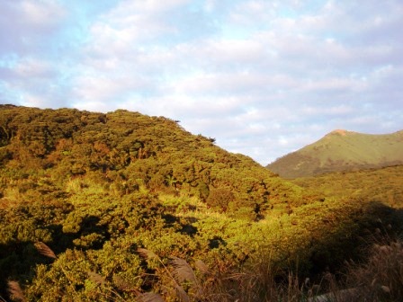 陽明山大屯山公園22.JPG