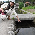 大水溝裡有大魚(合掌村)