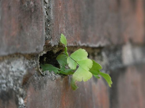 小草~郭阿晶指導