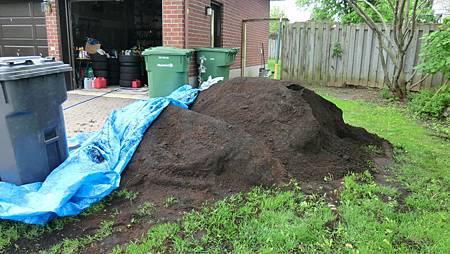 CIMG8444.JPG CIMG8444.JPG