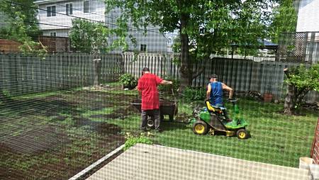 CIMG8449.JPG CIMG8449.JPG